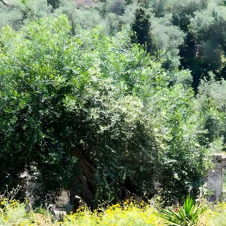 Militsa House בית נופש