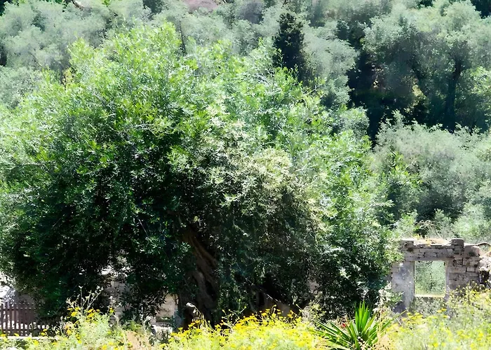 Militsa House بيت للعطل